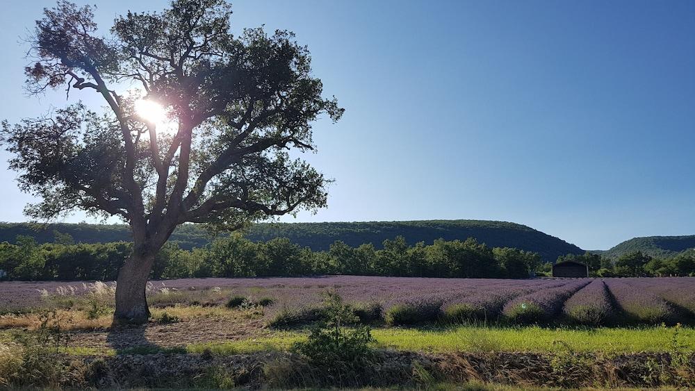 Logis Auberge De تافل المظهر الخارجي الصورة